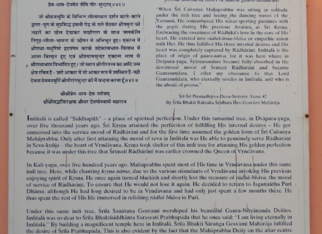 Glories of Imlitala (Imlitala Temple, Vrindavan, Uttar Pradesh, India)