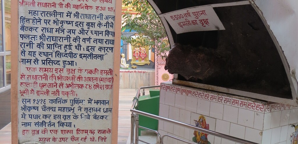 Imlitala ki Mahima, Imlitla Temple, Vrindavan (Uttar Pradesh, India)