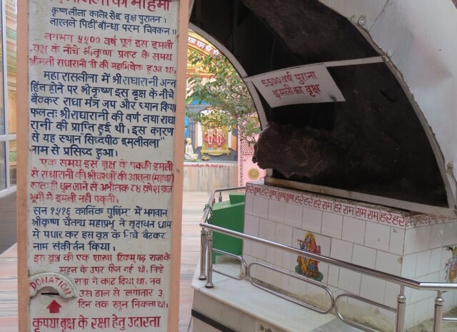 Imlitala ki Mahima, Imlitla Temple, Vrindavan (Uttar Pradesh, India)
