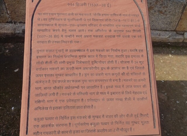 About - Imam Zamin's Tomb (Qutb Complex, Delhi, India)