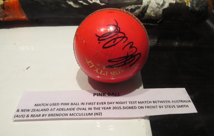 Pink Ball Used in First Ever Day & Night Test Match (‘Blades of Glory’ Cricket Museum in Pune, Maharashtra)