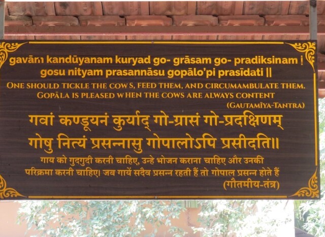 Quote from Gautamīya-Tantra (Govardhan EcoVillage, Palghar, Maharashtra, India)