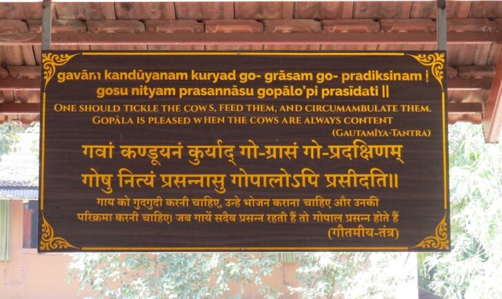 Quote from Gautamīya-Tantra (Govardhan EcoVillage, Palghar, Maharashtra, India)