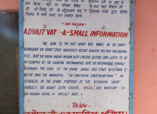 Advait Vat - A Small Information (Ancient Temple Th. Sri Radha Madan Gopal ji Maharaj, Vrindavan, Uttar Pradesh, India)