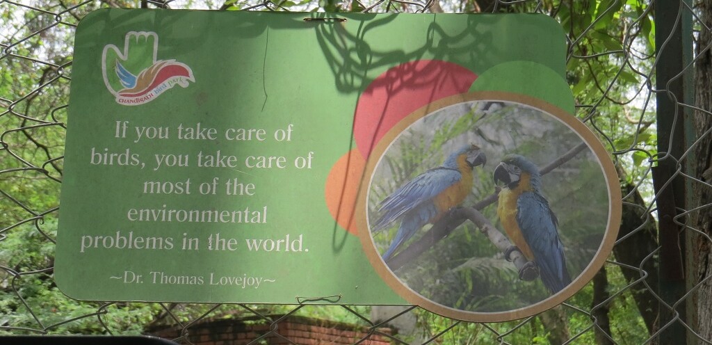 Dr. Thomas Lovejoy Quote About Birds (Chandigarh Bird Park, India)