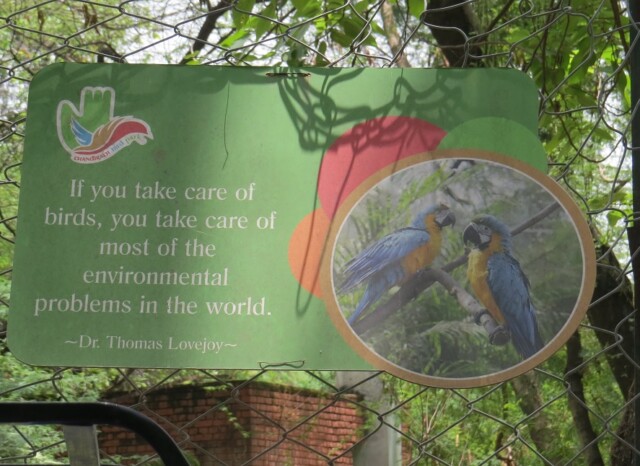 Dr. Thomas Lovejoy Quote About Birds (Chandigarh Bird Park, India)