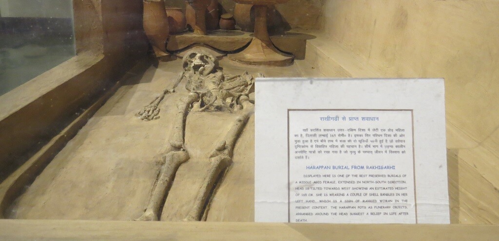 Harappan Burial from Rakhigarhi at the National Museum, New Delhi, India