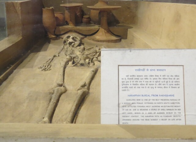 Harappan Burial from Rakhigarhi at the National Museum, New Delhi, India