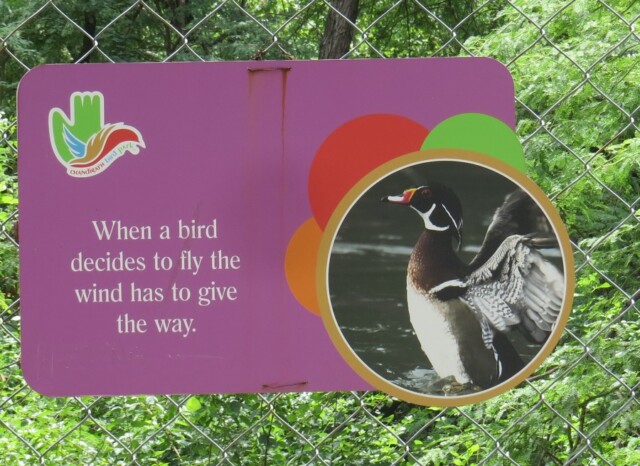Inspirational Bird Quote (Chandigarh Bird Park, India)