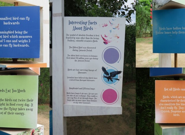 Interesting Facts About Birds (Chandigarh Bird Park, India)