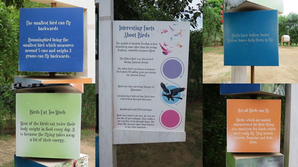 Interesting Facts About Birds (Chandigarh Bird Park, India)