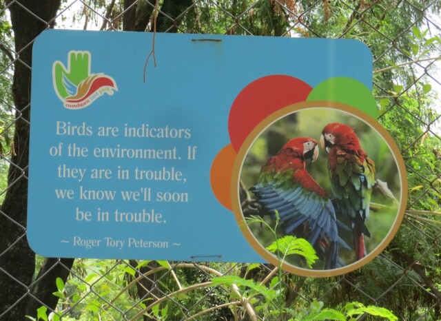 Roger Tory Peterson Quote About Birds (Chandigarh Bird Park, India)