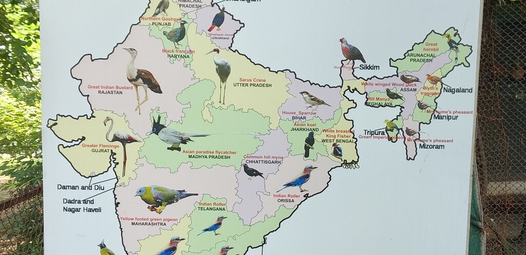 State Birds of India (Maharajbagh Zoo, Nagpur, Maharashtra)