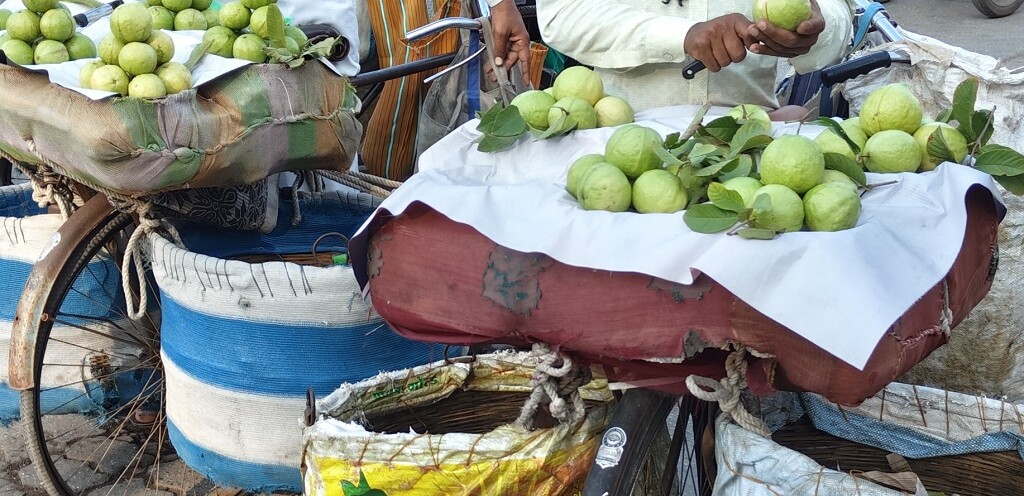 Streetside Vendors Selling Guava in Shirdi (Maharashtra, India)