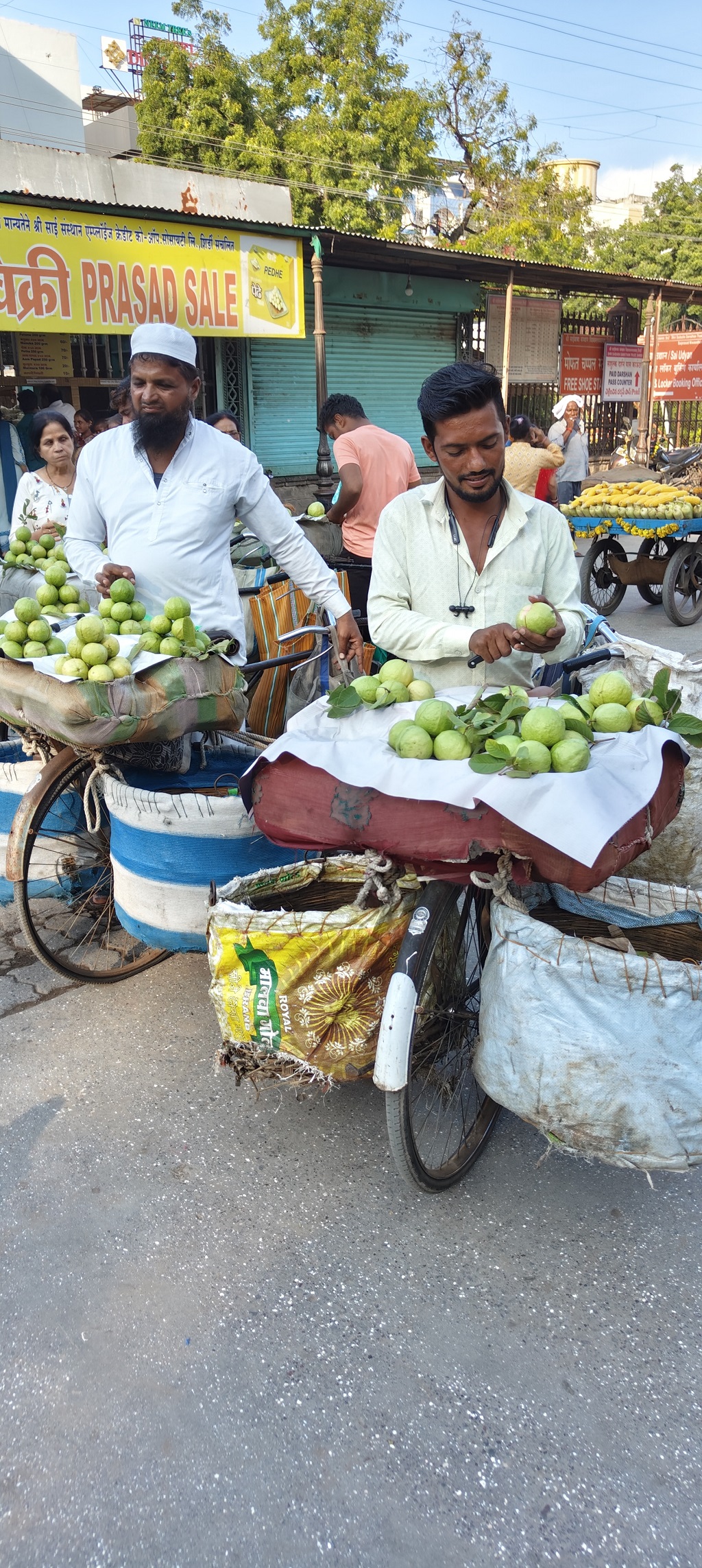 Streetside Vendors Selling Guava in Shirdi (Maharashtra, India)