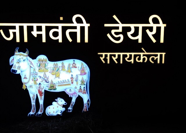 Kamadhenu Cow and various Deities within her Body (Jamwanti Dairy, Saraikela, Jharkahand)