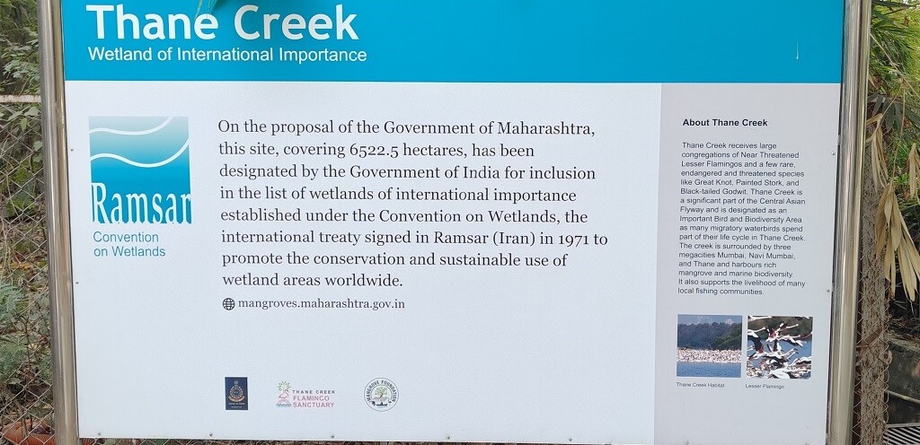 About - Thane Creek - Flamingo Sanctuary