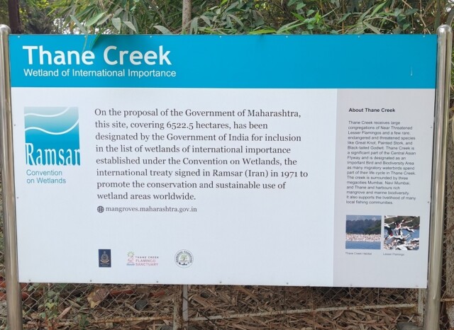 About - Thane Creek - Flamingo Sanctuary