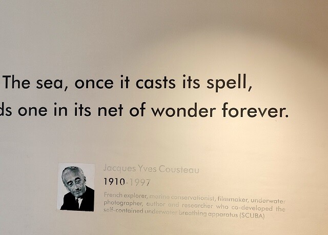 Jacques Cousteau Famous Quote About Sea
