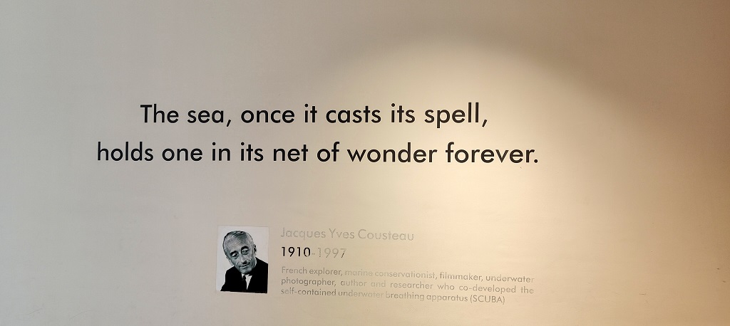 Jacques Cousteau Famous Quote About Sea