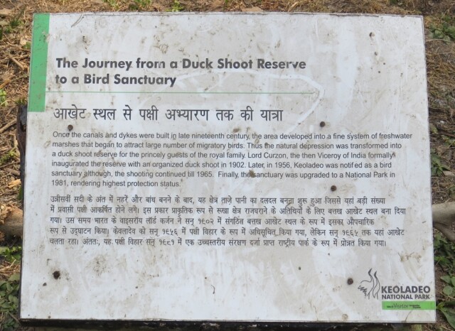 Journey - A Duck Shoot Reserve to A Bird Sanctuary