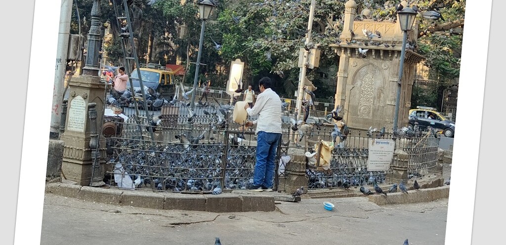Kothari Pyaav-Kabutarkhana, Opposite General Post Office, Fort, Mumbai (Maharashtra, India)