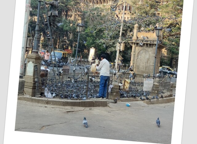 Kothari Pyaav-Kabutarkhana, Opposite General Post Office, Fort, Mumbai (Maharashtra, India)
