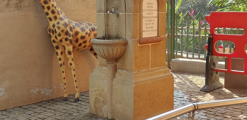 Khimji Mulji Randeria Pyaav at Byculla Zoo in Mumbai (Maharashtra, India)