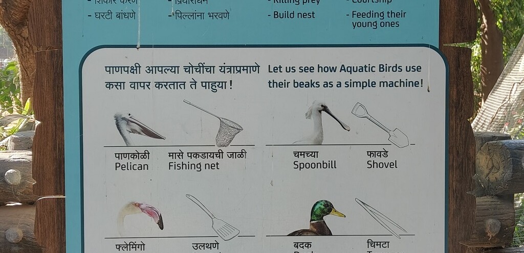 Do You Know the Various Uses of A Bird's Beak (Byculla Zoo, Mumbai, India)