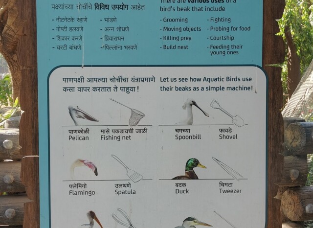 Do You Know the Various Uses of A Bird's Beak (Byculla Zoo, Mumbai, India)