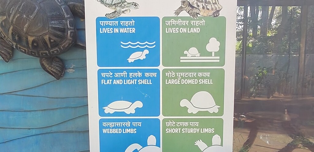 The Difference - Turtle & Tortoise (Byculla Zoo, Mumbai, India)
