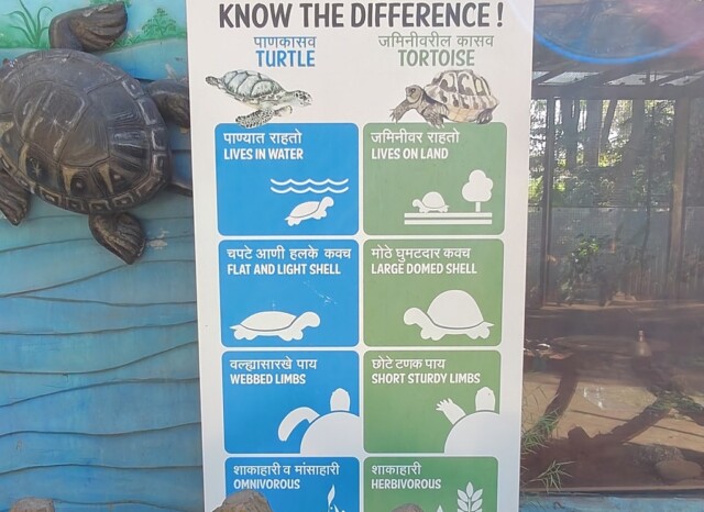 The Difference - Turtle & Tortoise (Byculla Zoo, Mumbai, India)