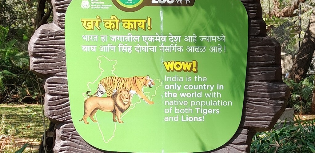 Which Country in the World has a Native Population of Tigers and Lions (Byculla Zoo, Mumbai, India)