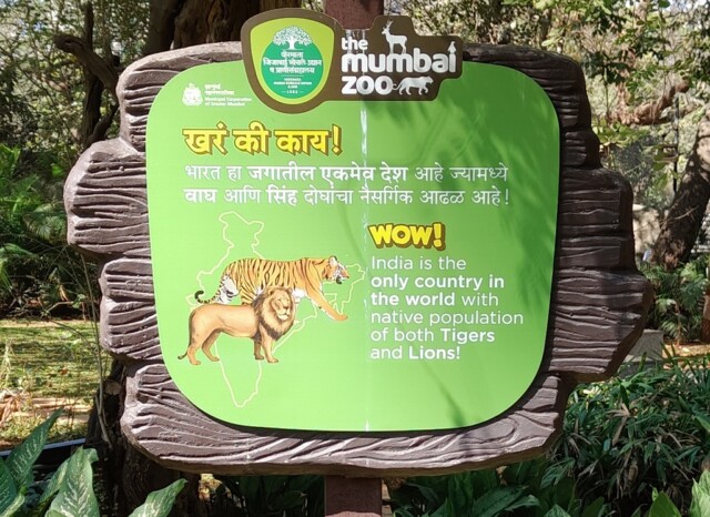Which Country in the World has a Native Population of Tigers and Lions (Byculla Zoo, Mumbai, India)