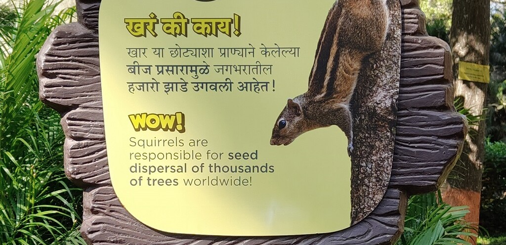Who are Responsible for the Seed Dispersal of Thousands of Trees Worldwide (Byculla Zoo, Mumbai, India)