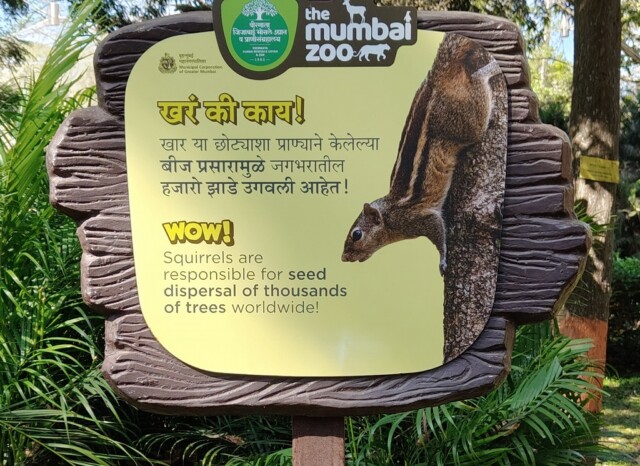 Who are Responsible for the Seed Dispersal of Thousands of Trees Worldwide (Byculla Zoo, Mumbai, India)
