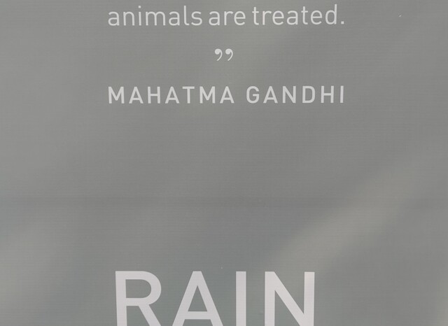 Mahatma Gandhi Quote on Animals (Fort Aguada Jail, Goa, India)