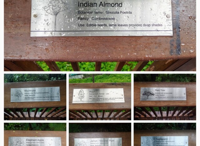 Flora of the Malabar Hill Nature Trail in Mumbai (Maharashtra, India)