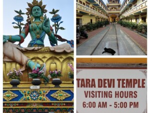 Tara Devi Temple, Bodh Gaya (Bihar)