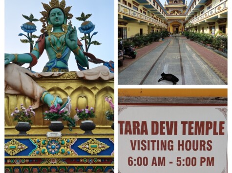 Tara Devi Temple, Bodh Gaya (Bihar)