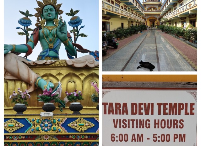 Tara Devi Temple, Bodh Gaya (Bihar)