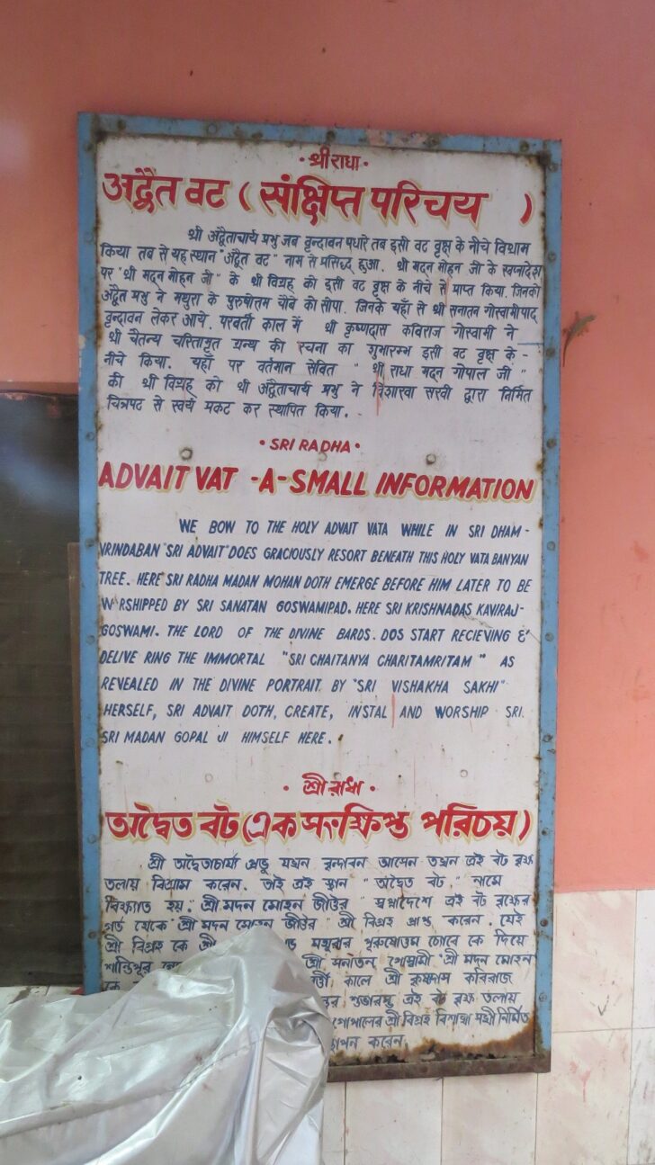 Advait Vat - A Small Information (Ancient Temple Th. Sri Radha Madan Gopal ji Maharaj, Vrindavan, Uttar Pradesh, India)