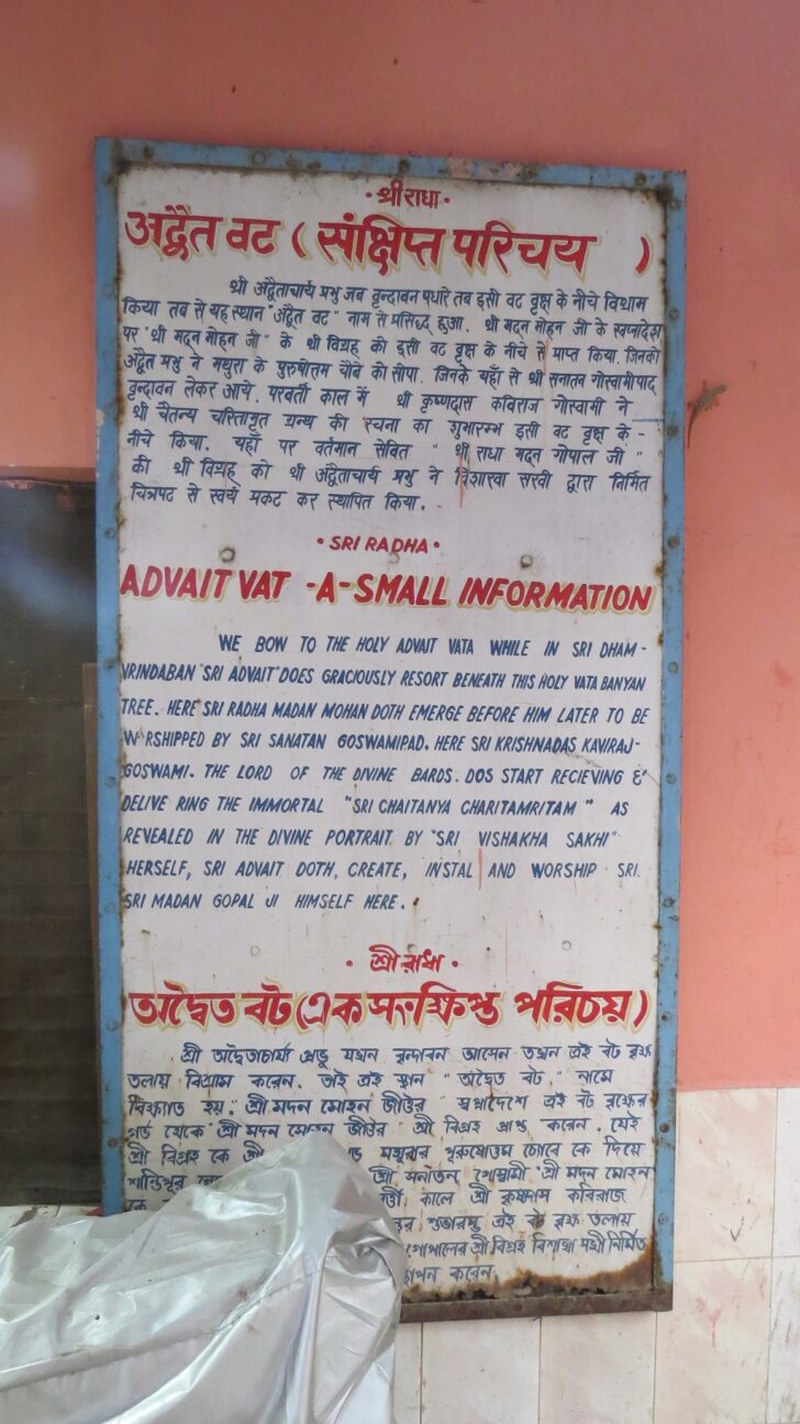 Advait Vat - A Small Information (Ancient Temple Th. Sri Radha Madan Gopal ji Maharaj, Vrindavan, Uttar Pradesh, India)